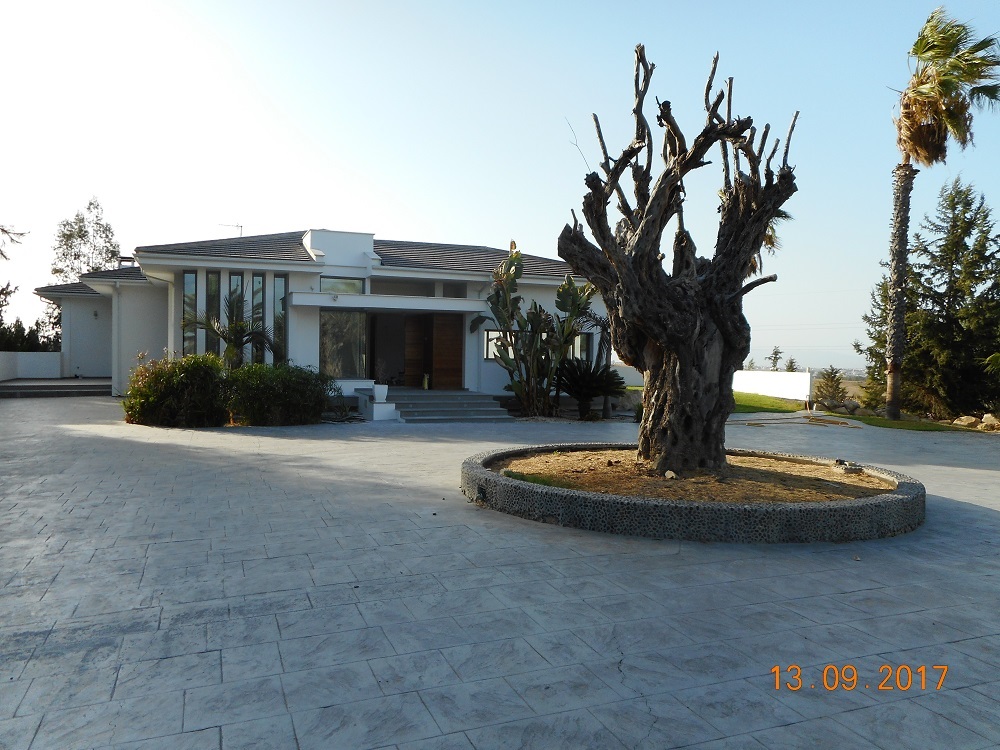 House for Rent in Latsia