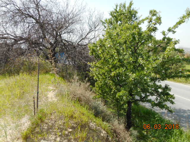 Residential Land for sale in Pera Nicosia