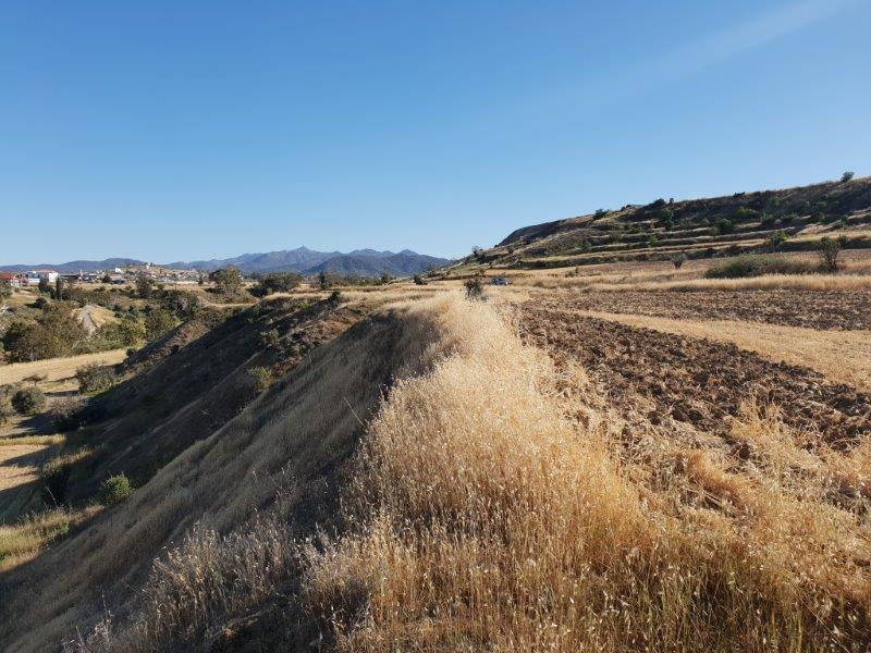 Agriculture Land for sale in Malounda Nicosia