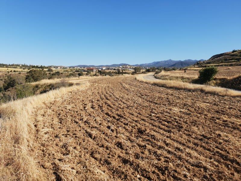 Agriculture Land for sale in Malounda Nicosia