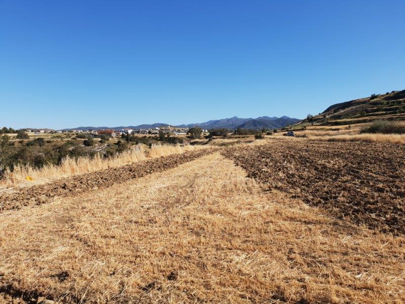 Agriculture Land for sale in Malounda Nicosia
