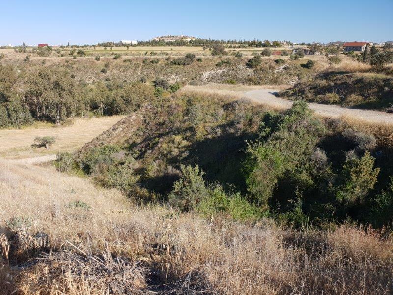Agriculture Land for sale in Malounda Nicosia