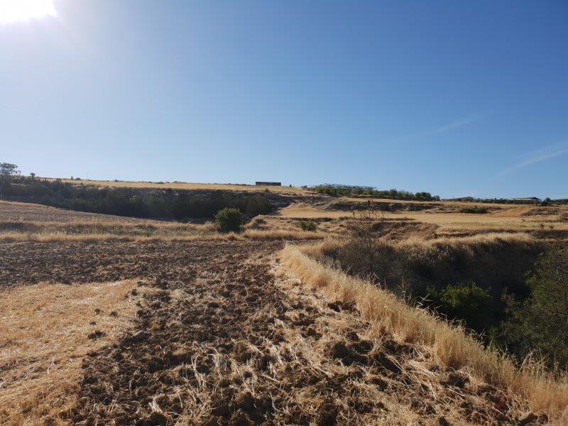 Agriculture Land for sale in Malounda Nicosia