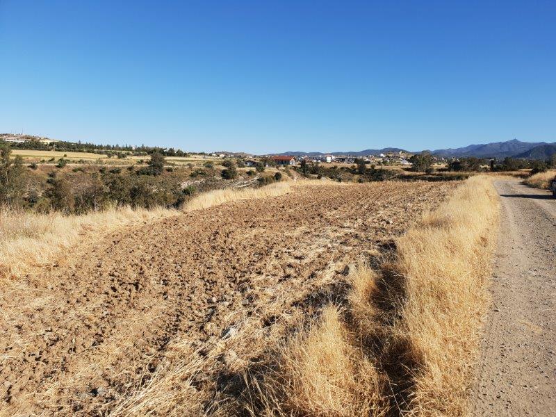 Agriculture Land for sale in Malounda Nicosia