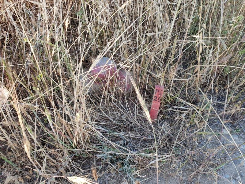 Agriculture Land for sale in Malounda Nicosia