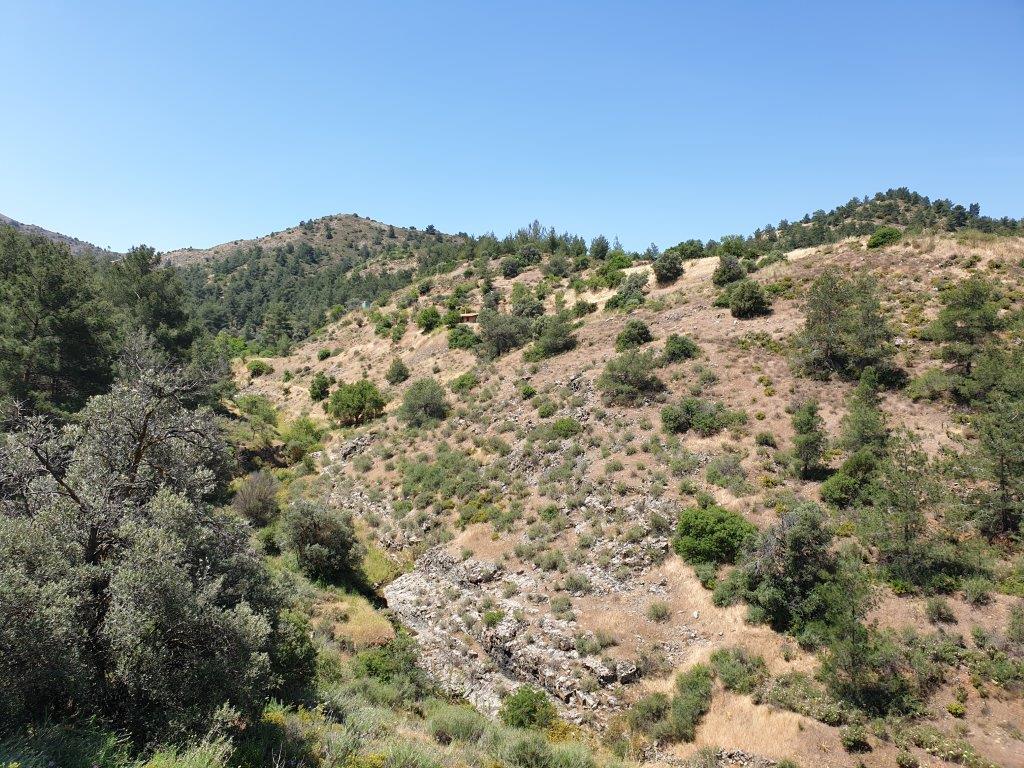 Land Mixed Zone for sale in Fykardou Village Nicosia
