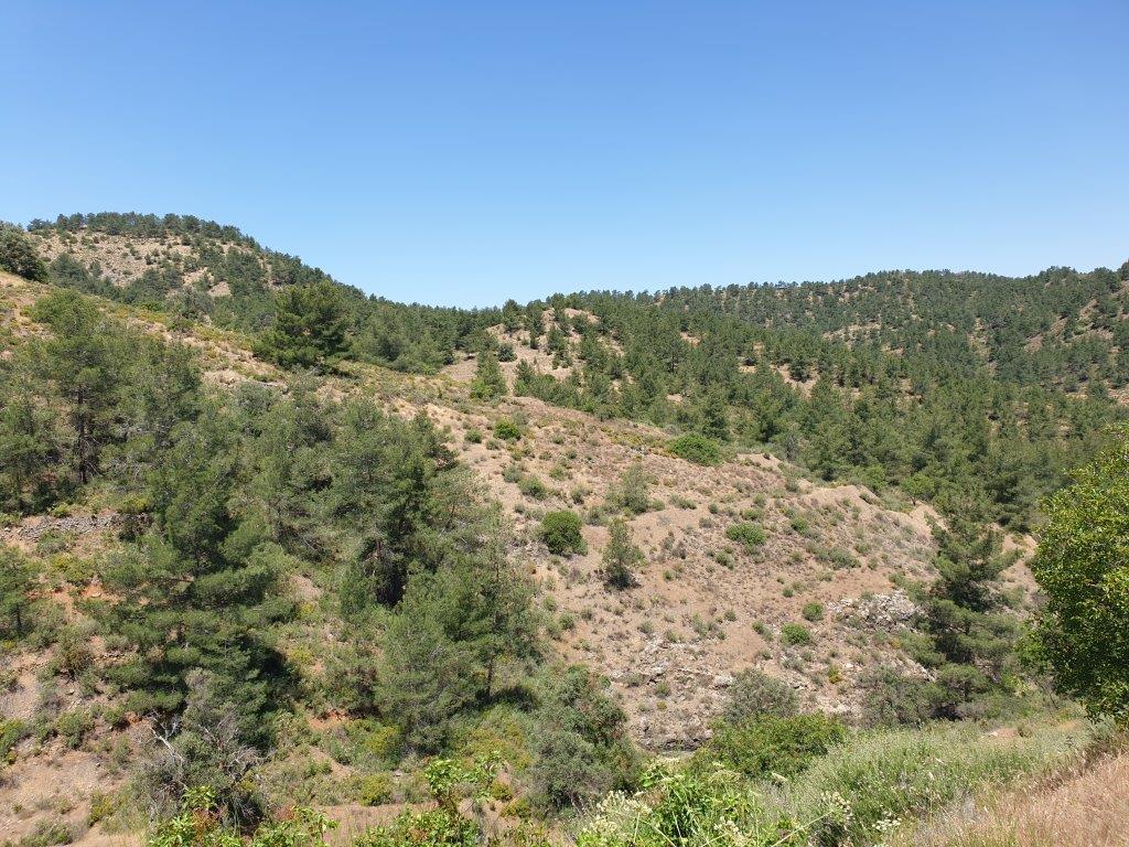 Land Mixed Zone for sale in Fykardou Village Nicosia