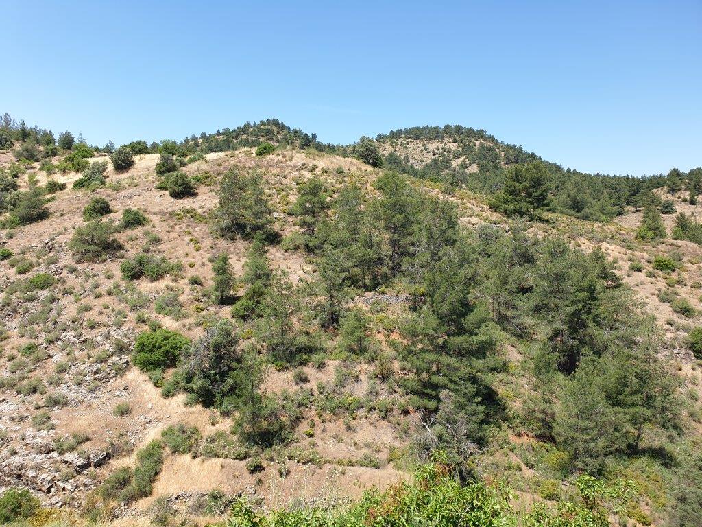 Land Mixed Zone for sale in Fykardou Village Nicosia