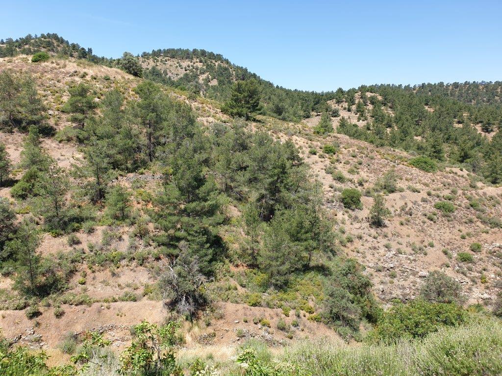 Land Mixed Zone for sale in Fykardou Village Nicosia