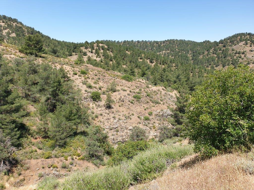 Land Mixed Zone for sale in Fykardou Village Nicosia
