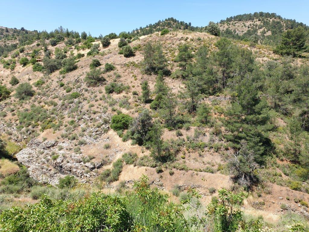 Land Mixed Zone for sale in Fykardou Village Nicosia