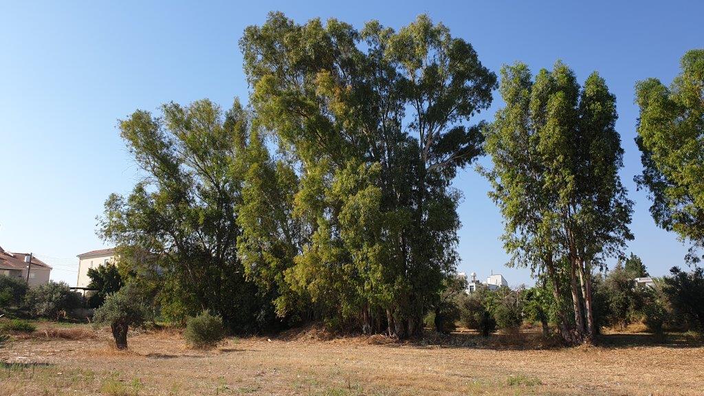 Residential Land for sale in Lakatamia Nicosia