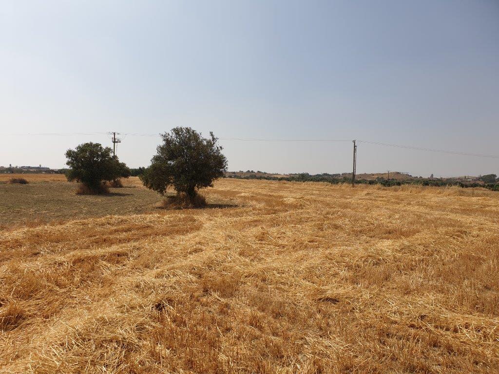 Residential Land for sale in Lakatamia Nicosia