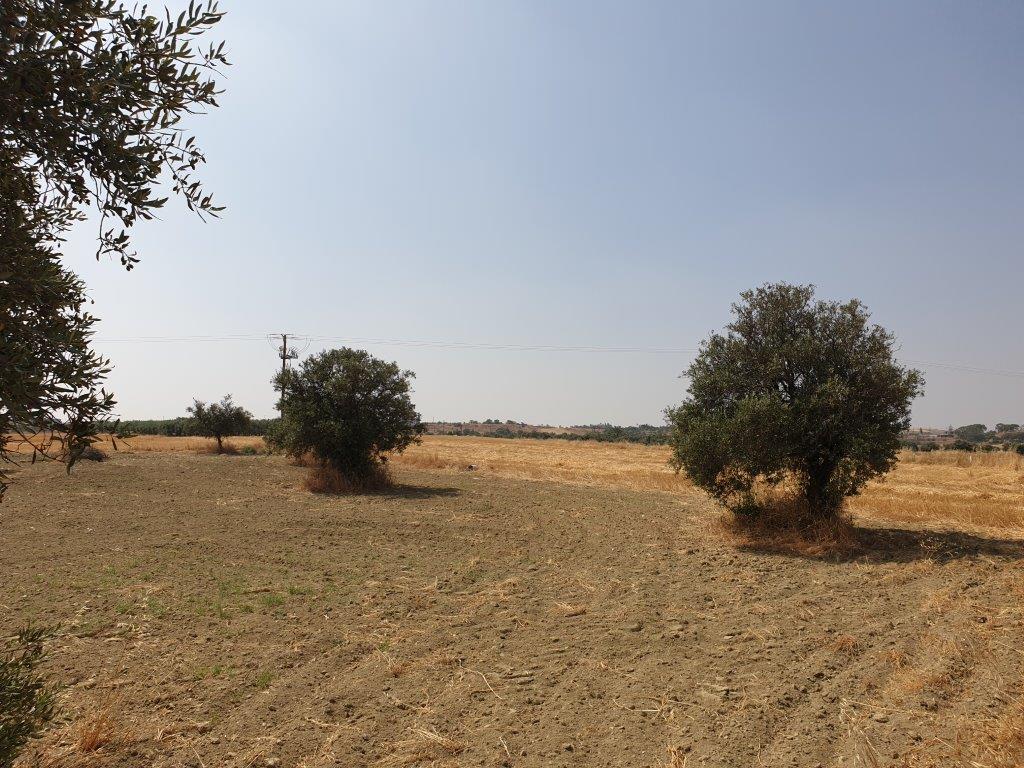 Residential Land for sale in Lakatamia Nicosia