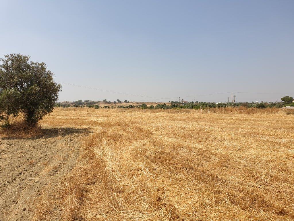 Residential Land for sale in Lakatamia Nicosia