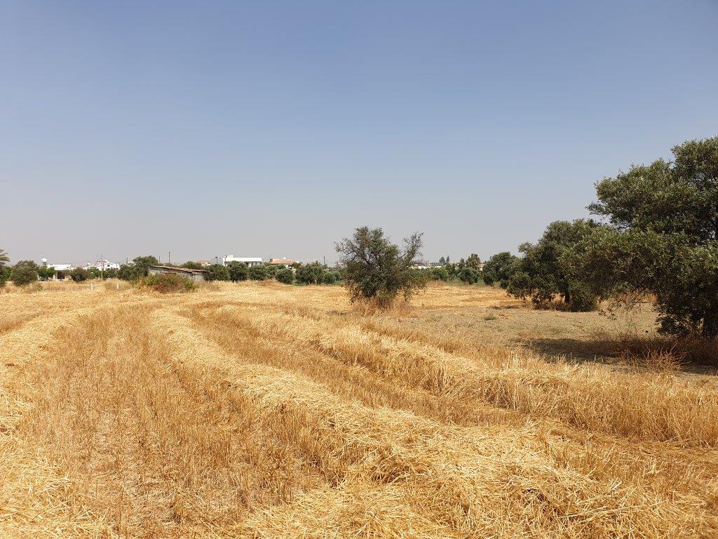Residential Land for sale in Lakatamia Nicosia