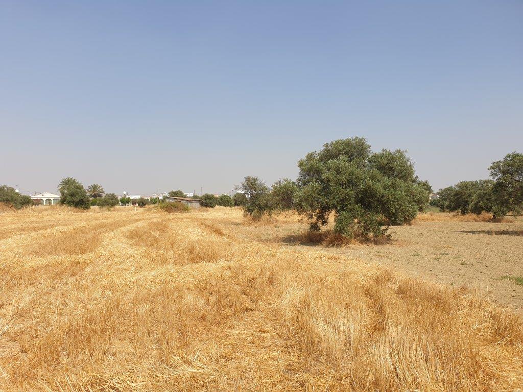 Residential Land for sale in Lakatamia Nicosia