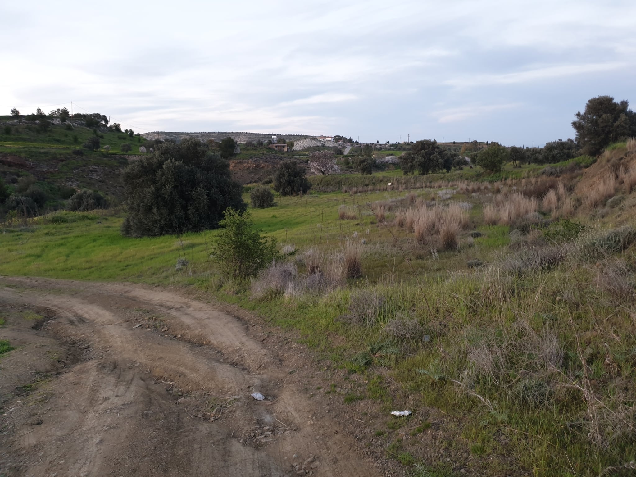 Land for sale in Analiontas