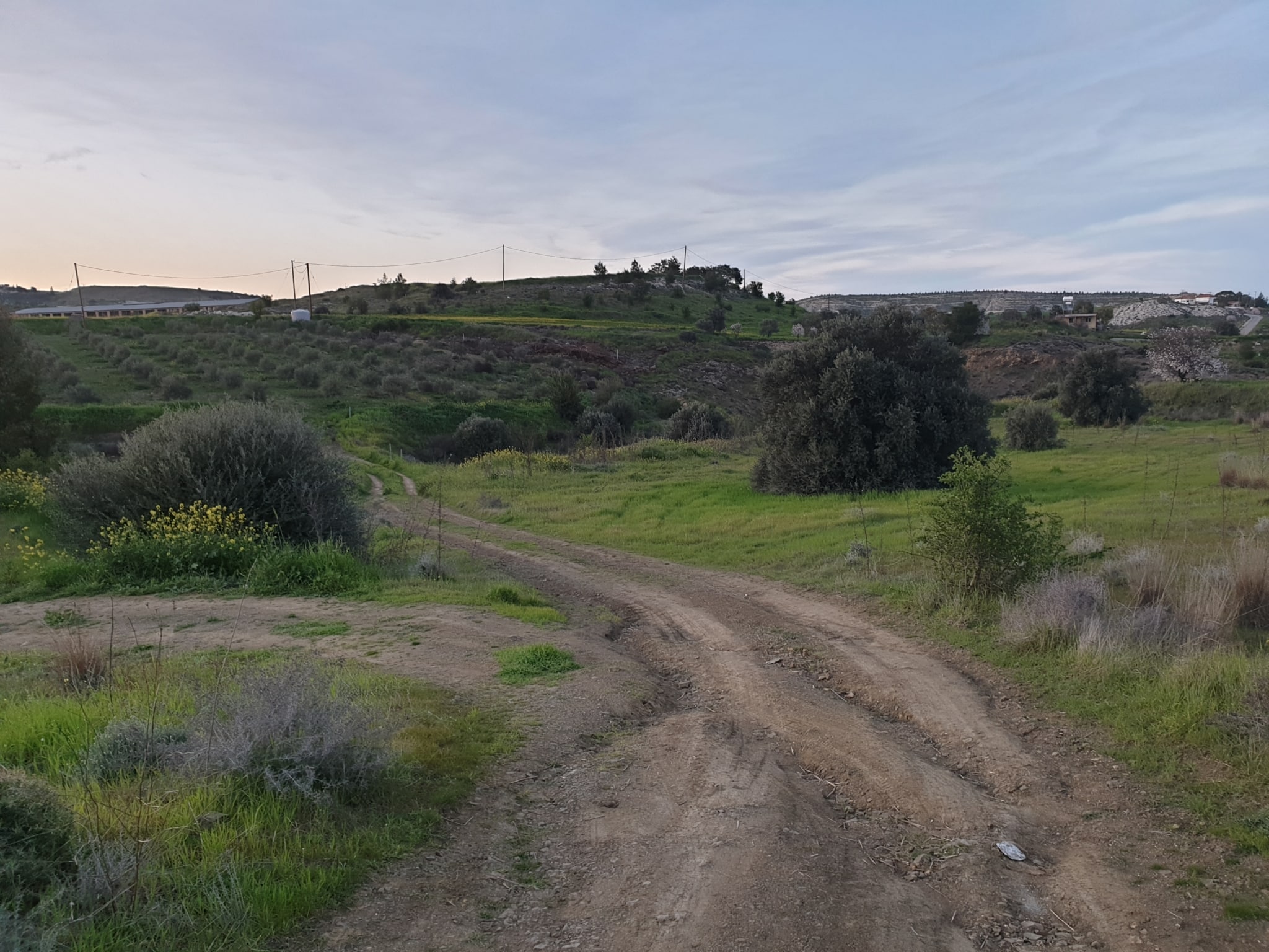 Land for sale in Analiontas