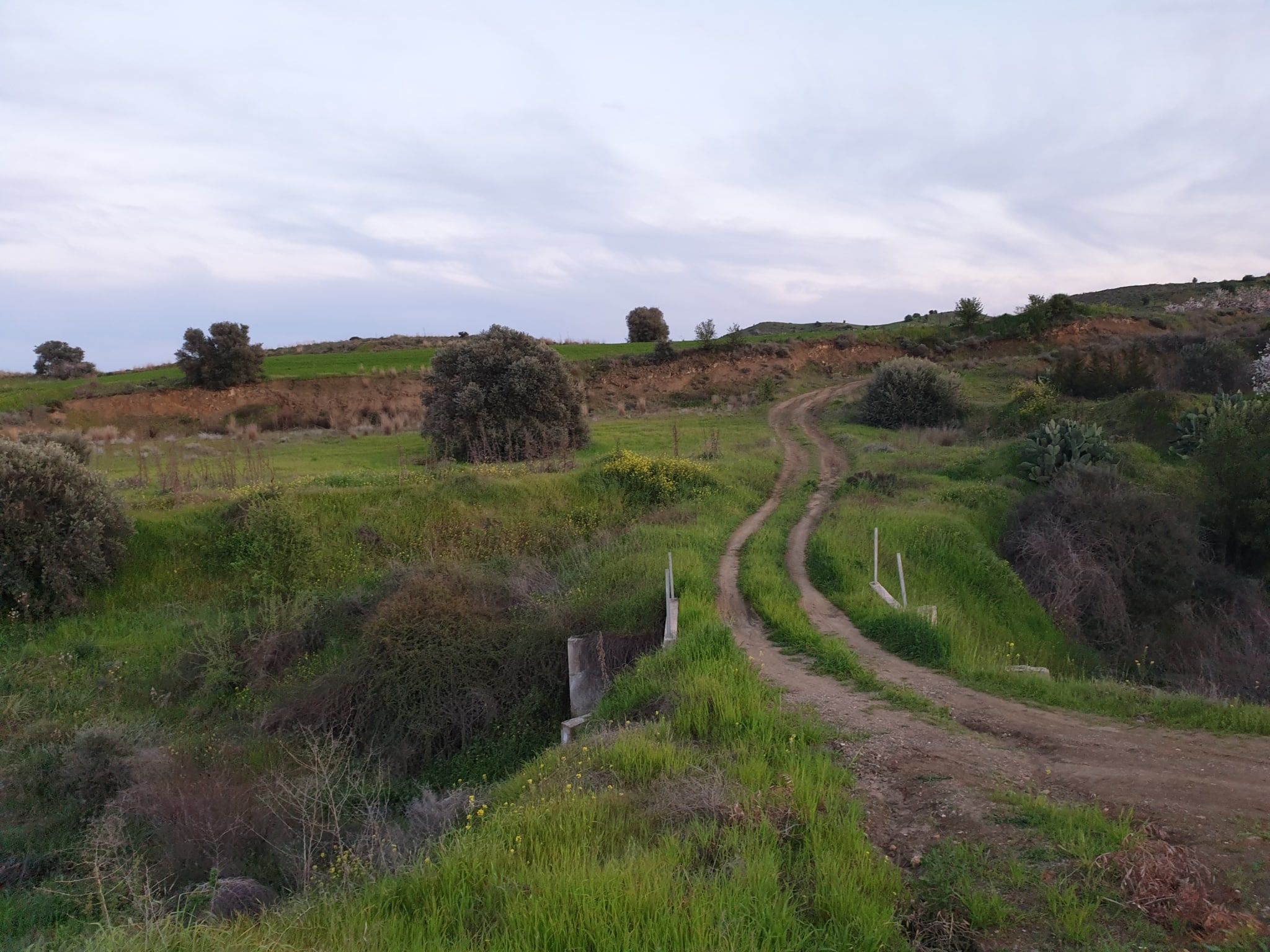 6 Main. Land for sale in Analiontas