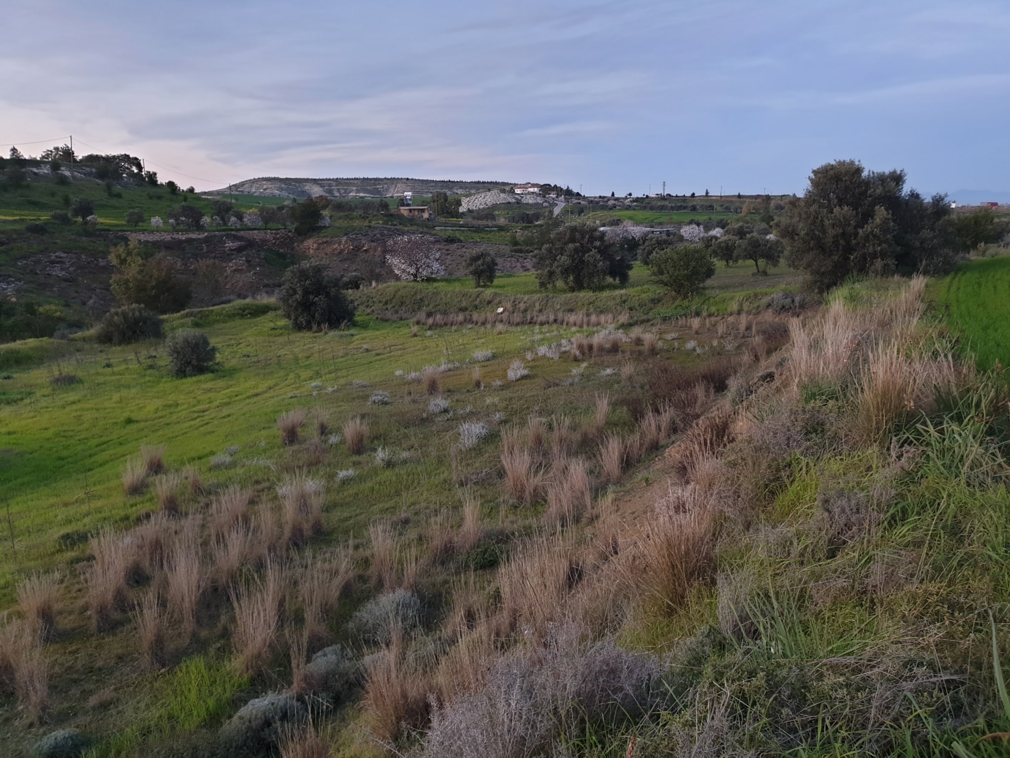 Land for sale in Analiontas