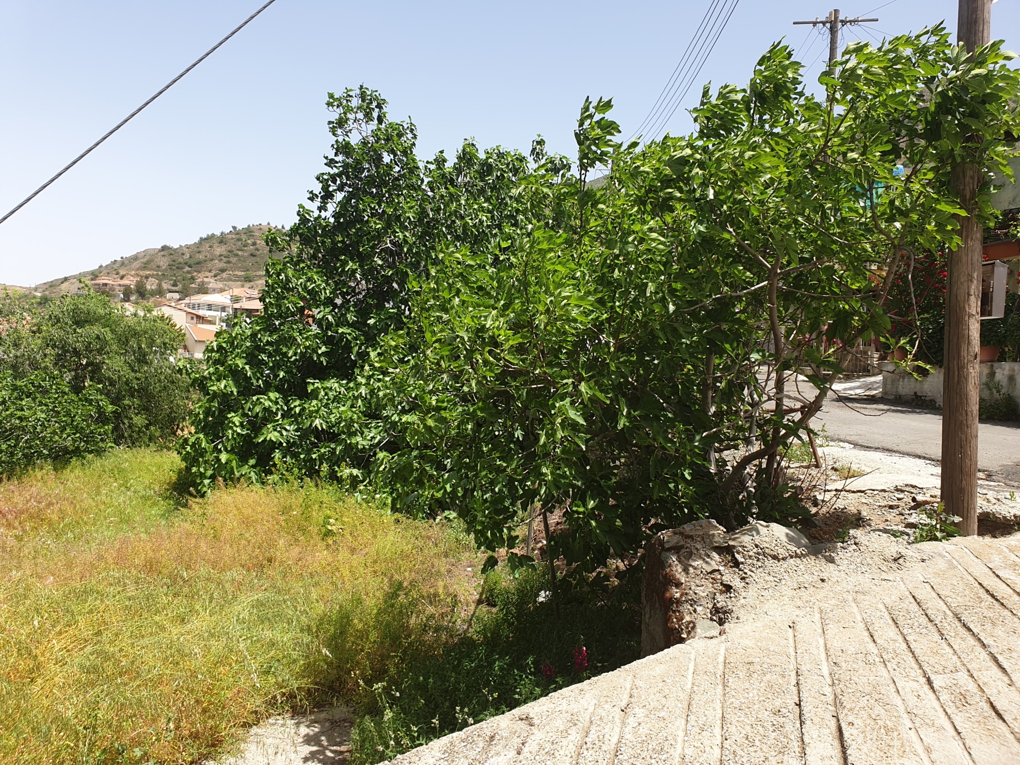 Residential Plot for sale in Farmakas, Nicosia
