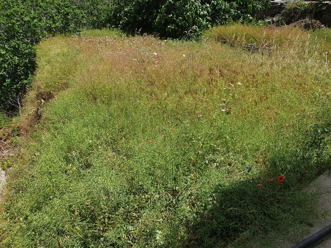 Residential Plot for sale in Farmakas, Nicosia