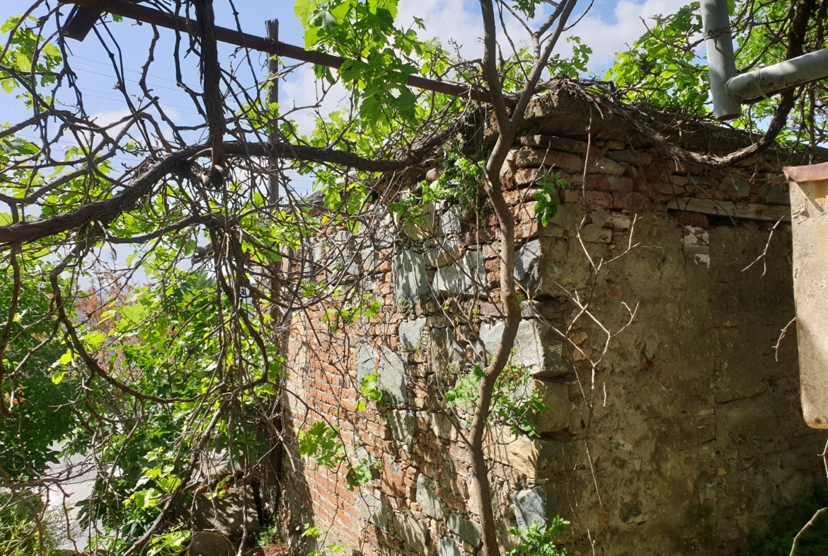 1170