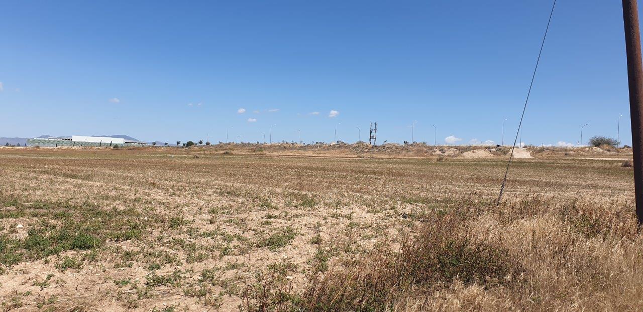 AGRULTURAL LAND FOR SALE IN LAKATAMIA-ARCHANGELOS, NICOSIA