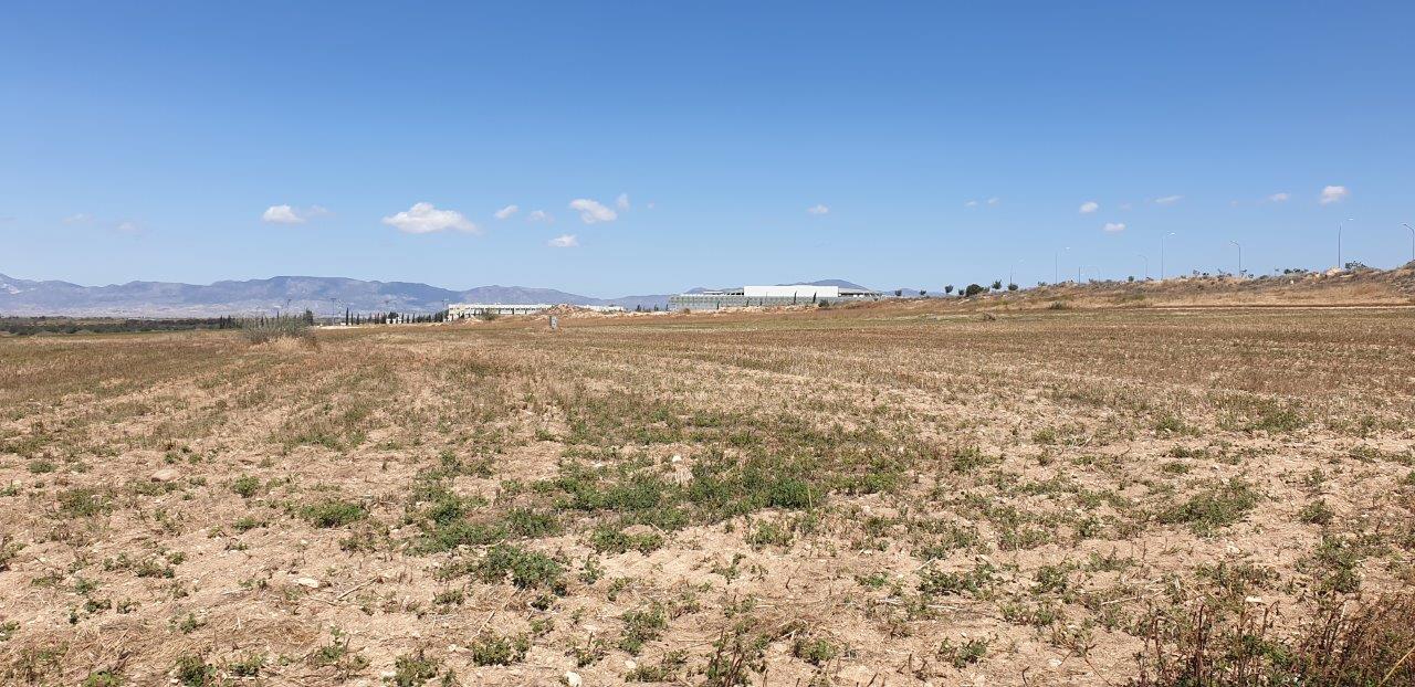 AGRULTURAL LAND FOR SALE IN LAKATAMIA-ARCHANGELOS, NICOSIA