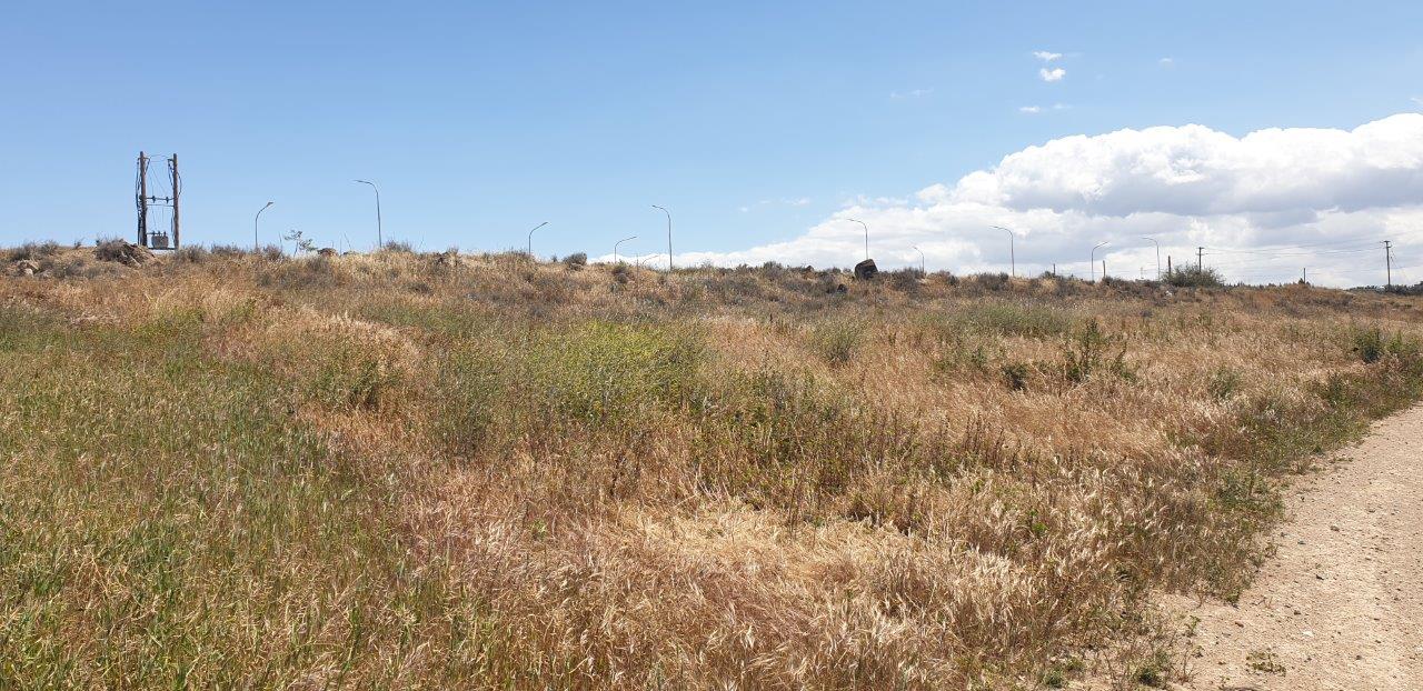 AGRULTURAL LAND FOR SALE IN LAKATAMIA-ARCHANGELOS, NICOSIA