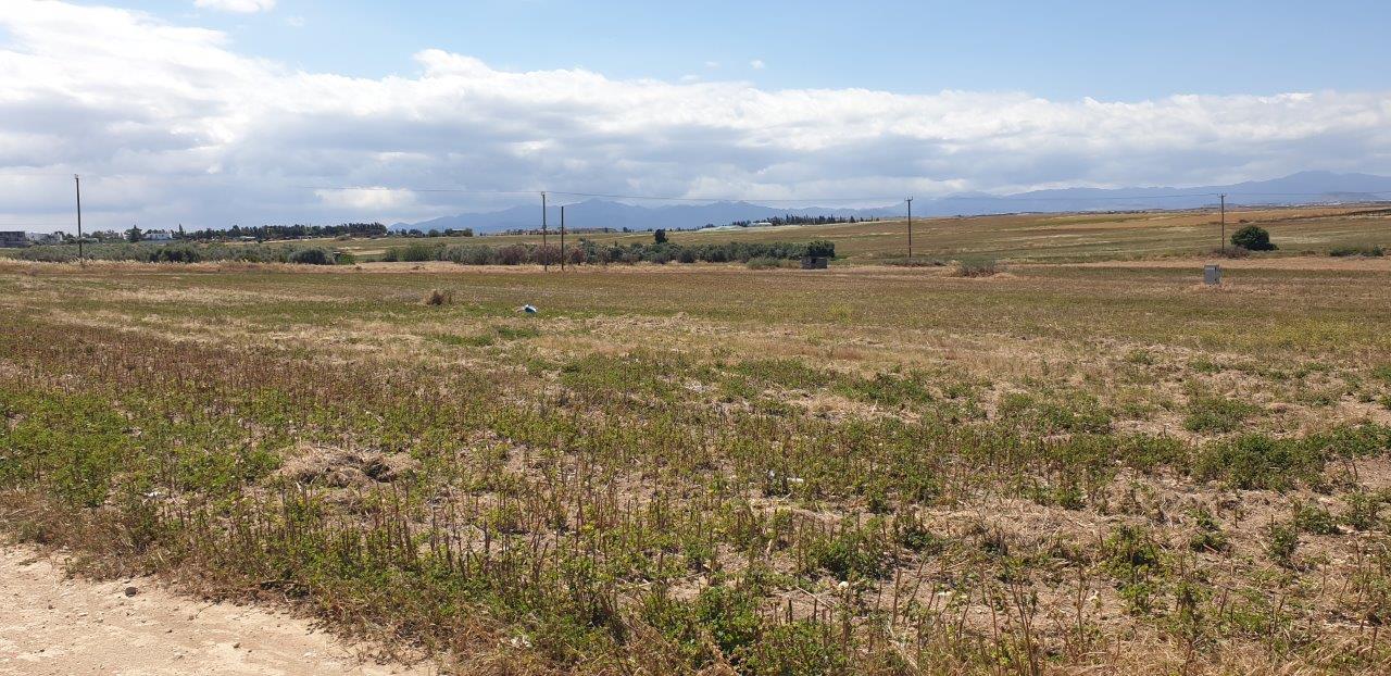 AGRULTURAL LAND FOR SALE IN LAKATAMIA-ARCHANGELOS, NICOSIA