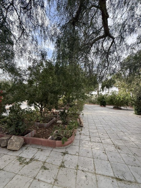 Dream House in Deneia, Nicosia For Rent