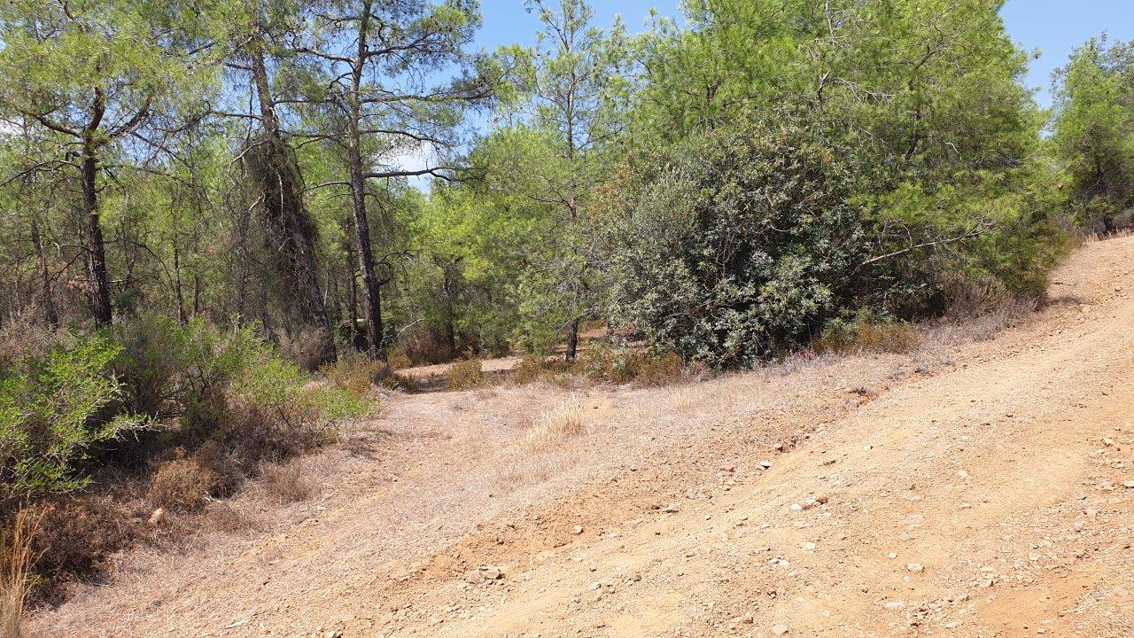 Land for Sale in Kornos- Mixed Use