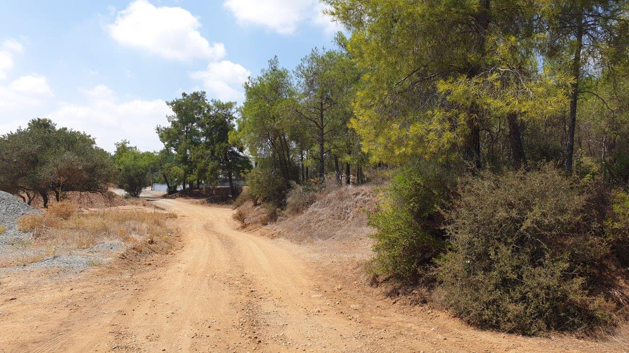 Land for Sale in Kornos- Mixed Use