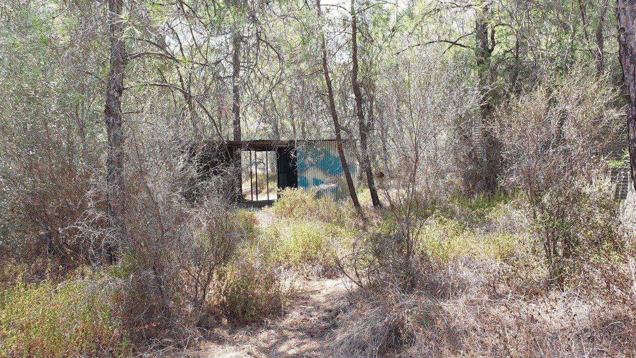 Land for Sale in Kornos- Mixed Use
