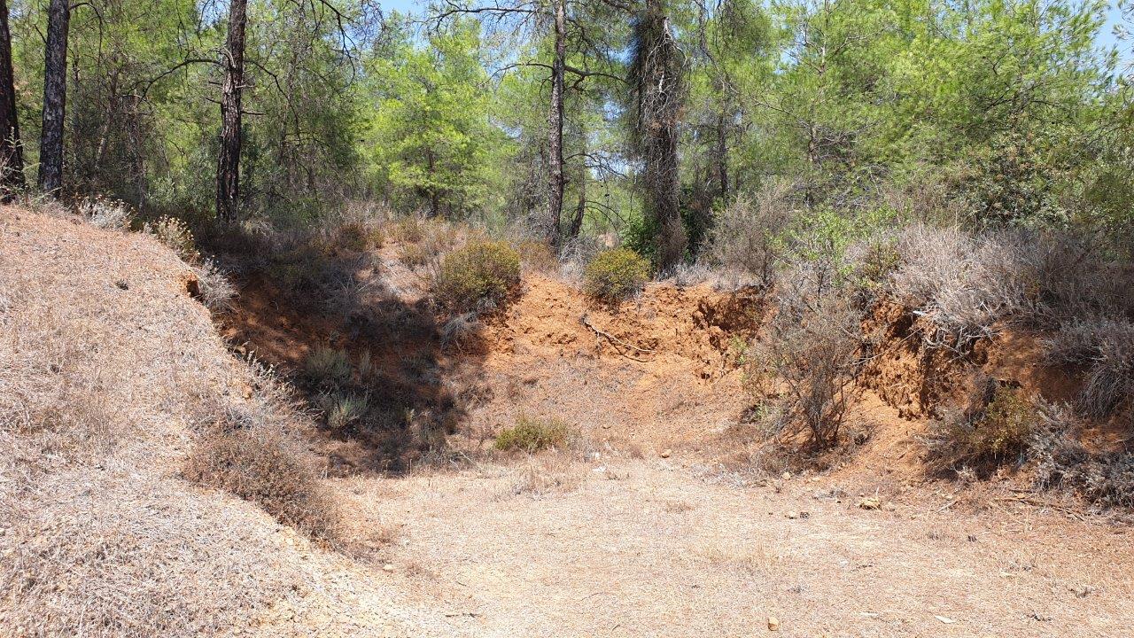 Land for Sale in Kornos- Mixed Use