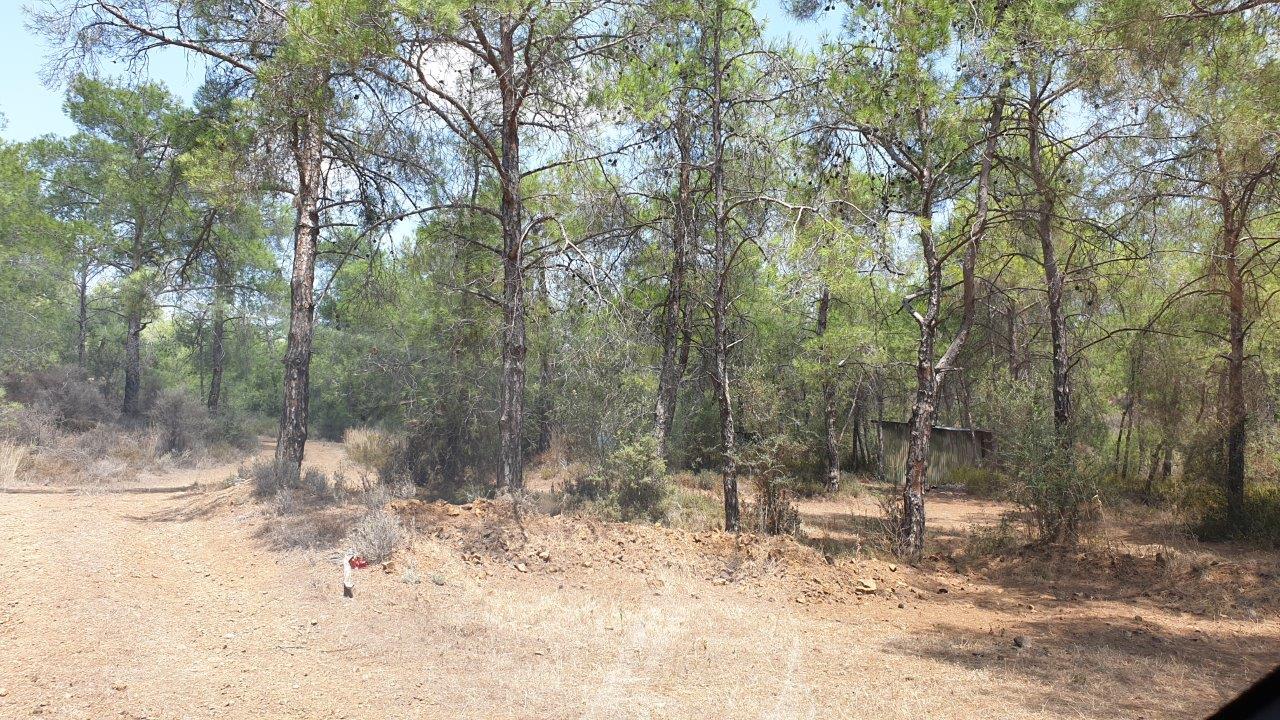 Land for Sale in Kornos- Mixed Use