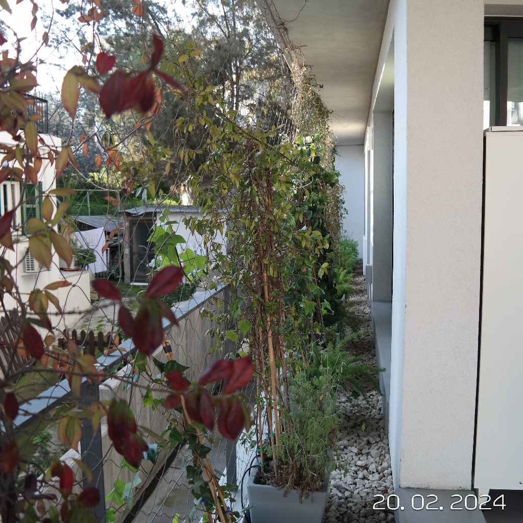 Luxury 2-bedroom apartment to rent in Ayioi Omologites