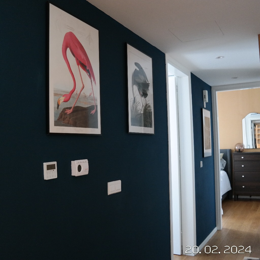 Luxury 2-bedroom apartment to rent in Ayioi Omologites