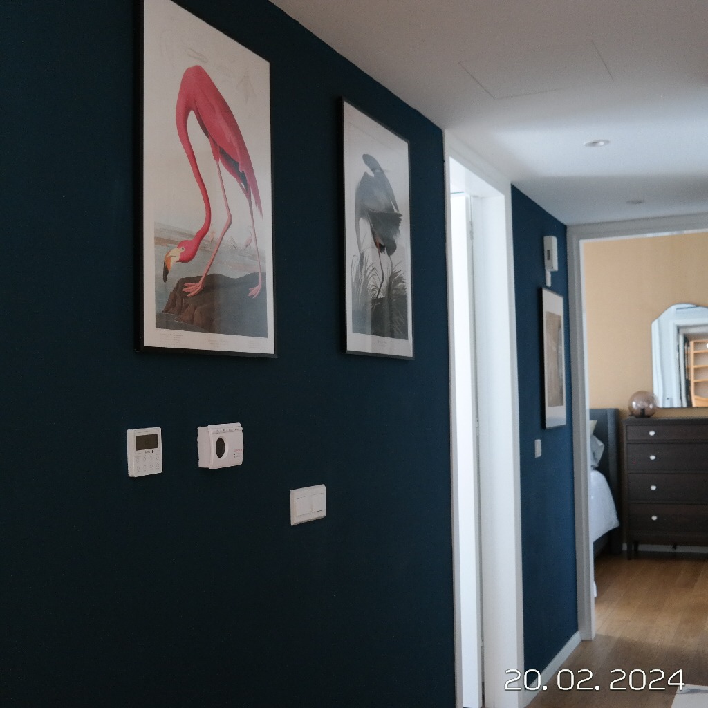 Luxury 2-bedroom apartment to rent in Ayioi Omologites