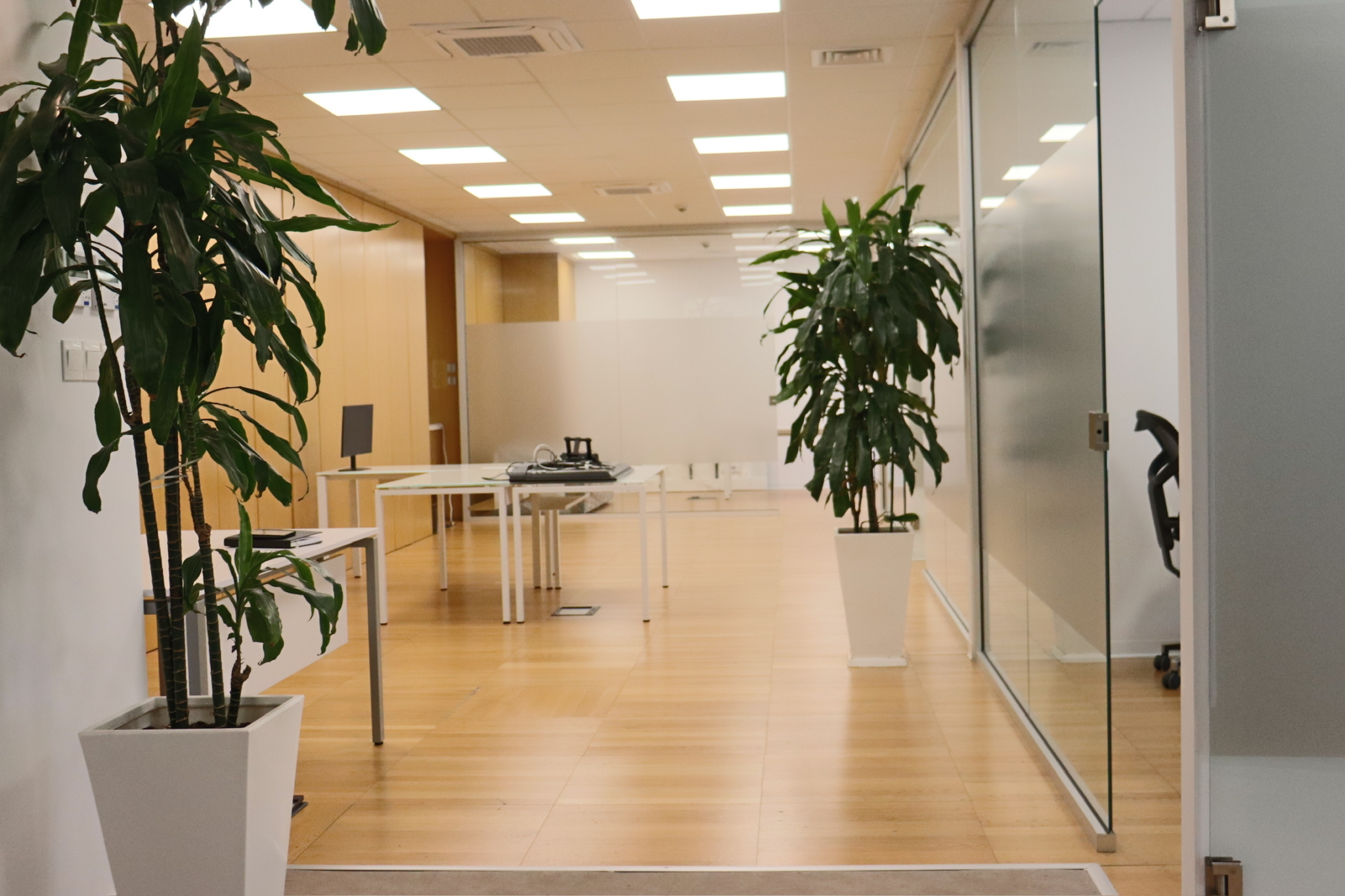 Brand-New Offices Under Renovation | 2nd Floor (Central Tower)