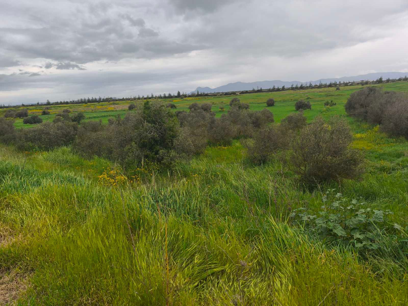 Residential Plot for Sale Kokkinotrimithia, Nicosia