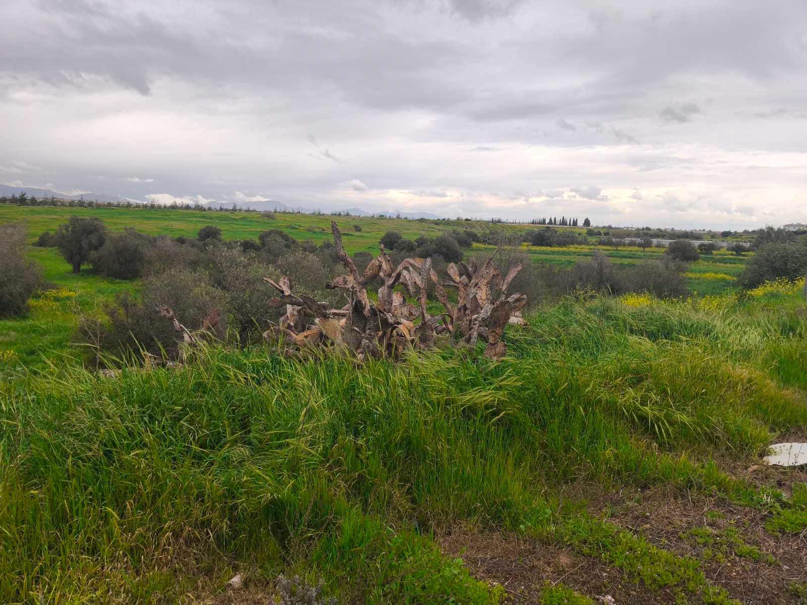 Residential Plot for Sale Kokkinotrimithia, Nicosia