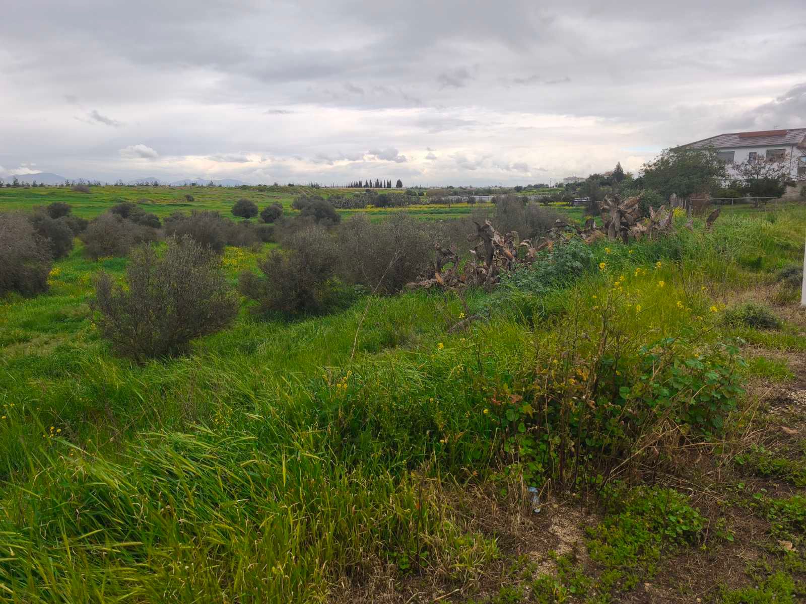 Residential Plot for Sale Kokkinotrimithia, Nicosia