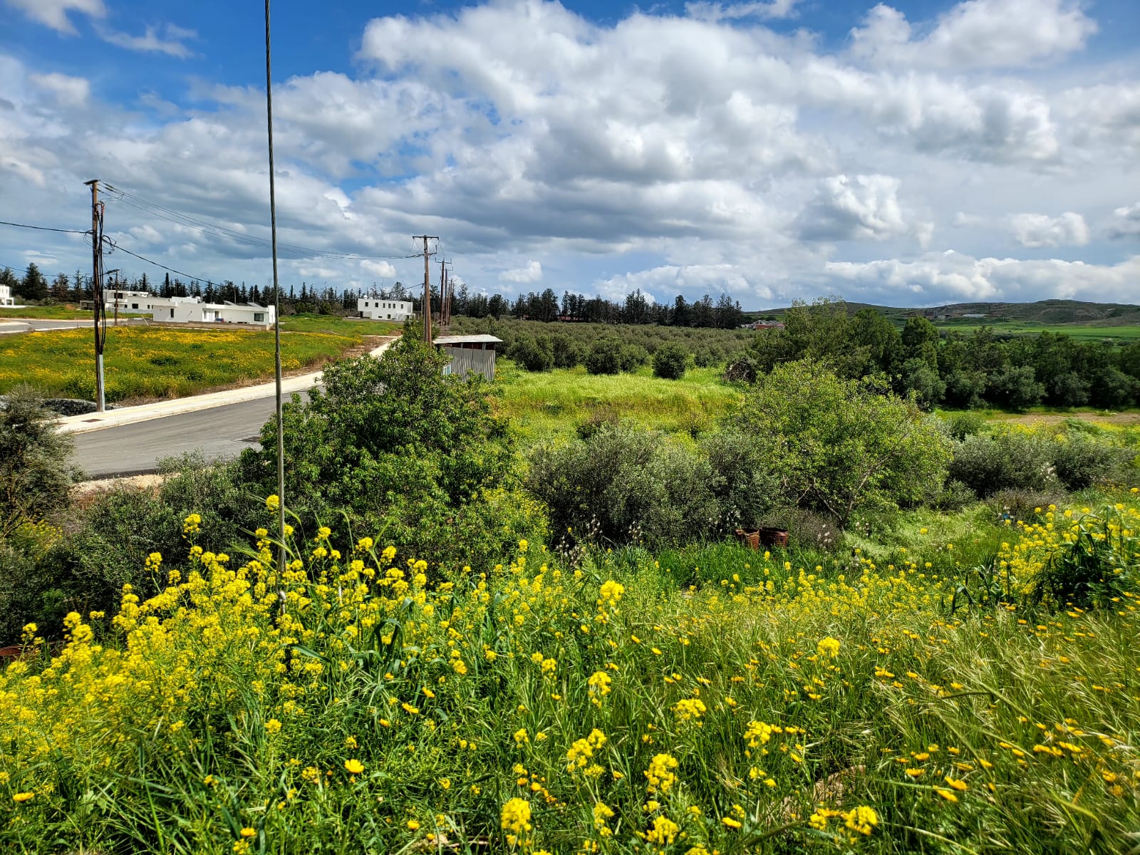 Plot for Sale Tseri, Nicosia