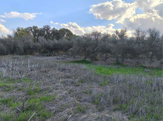2 Plots for Sale in Lakatamia-Tseri