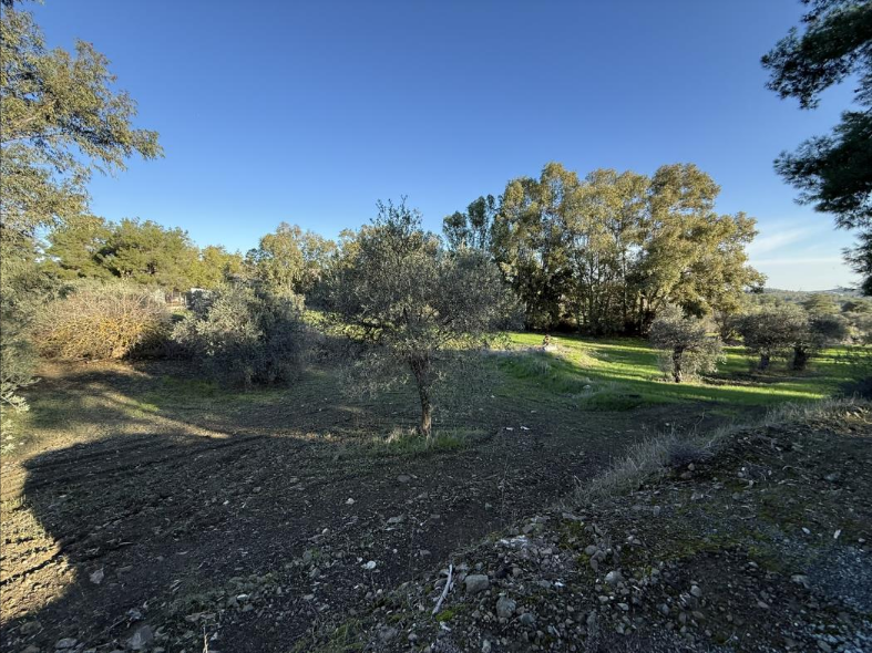 Plot for Sale Sia, Nicosia