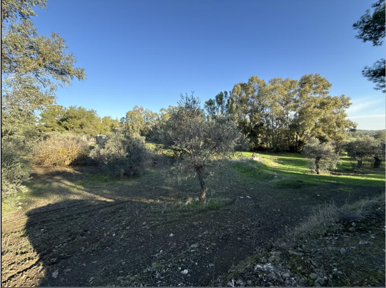 Plot for Sale Sia, Nicosia