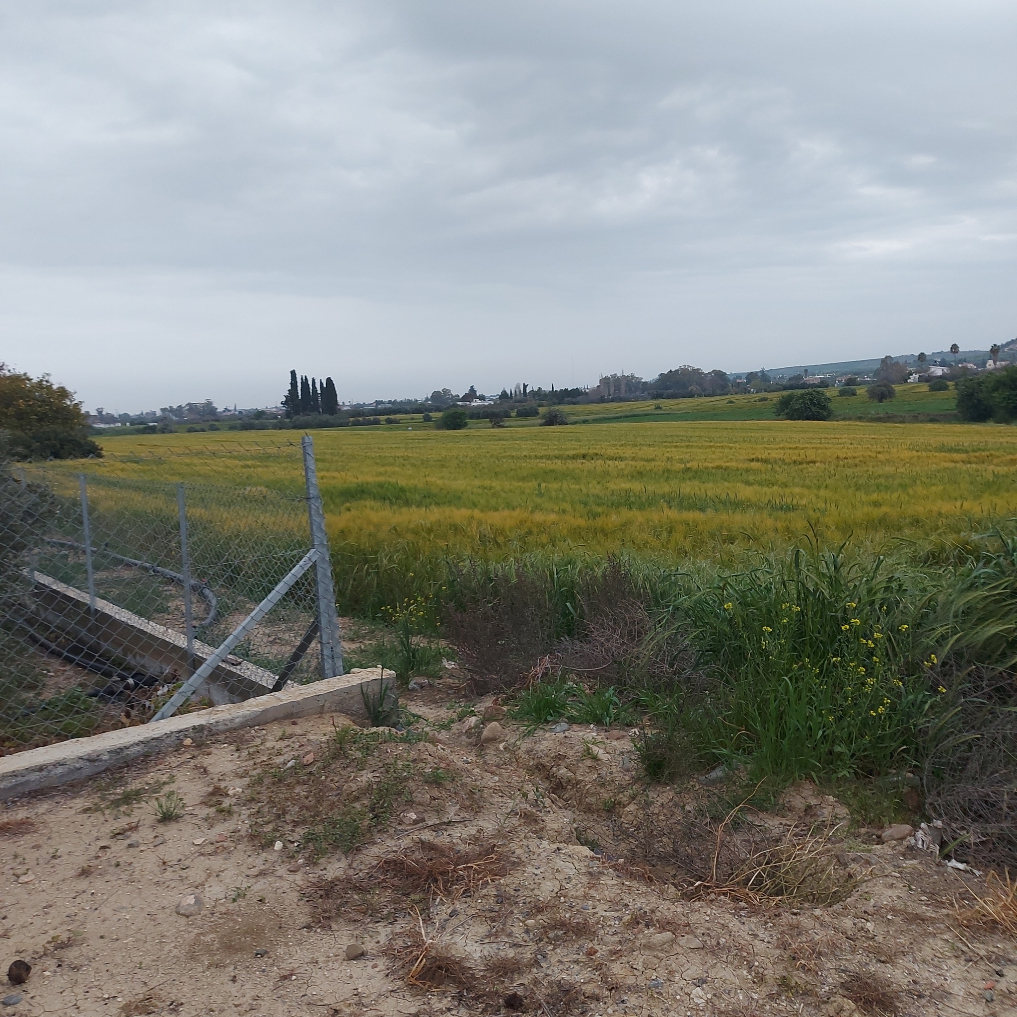 Plot for Sale In Ergates